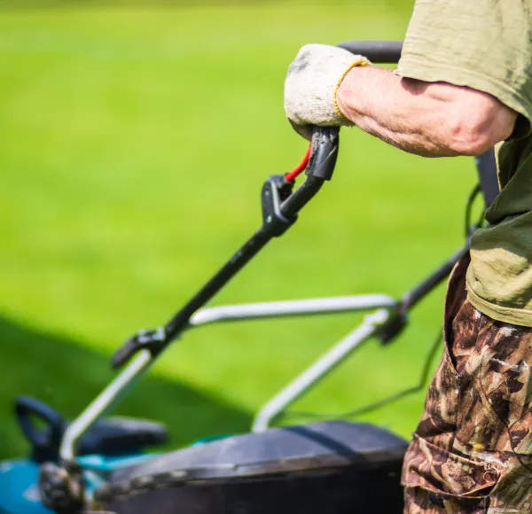 Common Lawn Grass Cutting Mistakes to Avoid in McKinney, TX