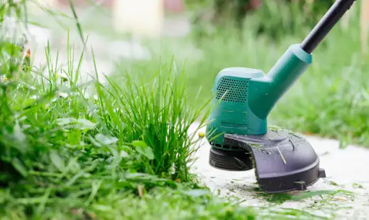 Enhancing Curb Appeal