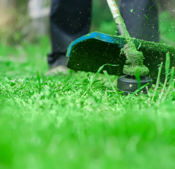 Seasonal Lawn Grass Cutting Needs in McKinney, TX