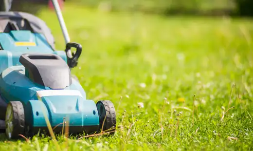 Supporting Lawn Sustainability