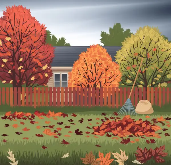 The Importance of Leaf Removal McKinney TX