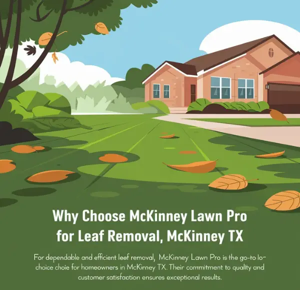 Why Choose McKinney Lawn Pro for Leaf Removal McKinney TX