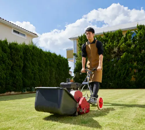 Lawn Cleanup Service Areas We Cover