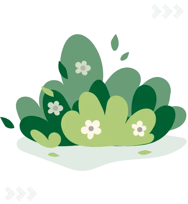 Lawn Leaf Removal McKinney TX