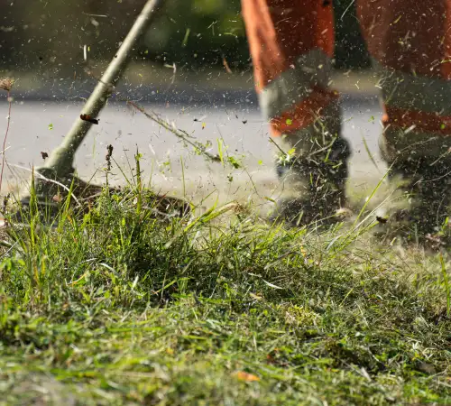 Lawn Mowing Cost in McKinney TX