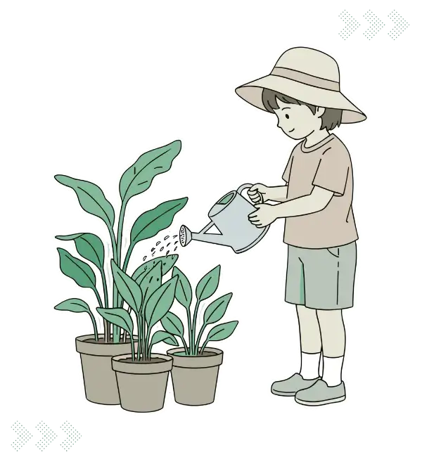 Lawn Plant Care McKinney TX