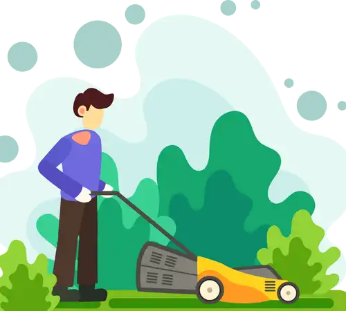 Local Case Study for Lawn Tree Care Service