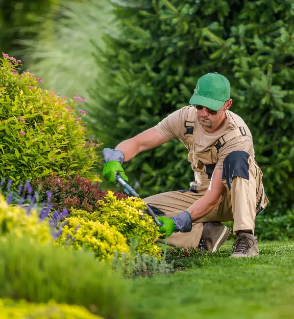 Why Choose Lawn Bush Trimming in McKinney