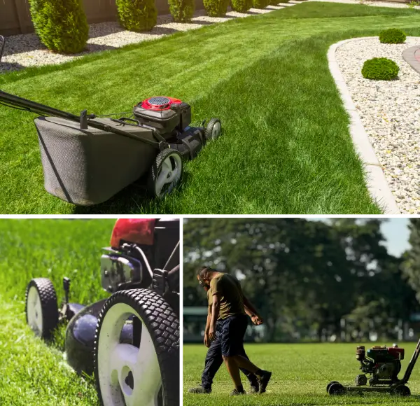 Why Choose Lawn Cleanup Service in McKinney