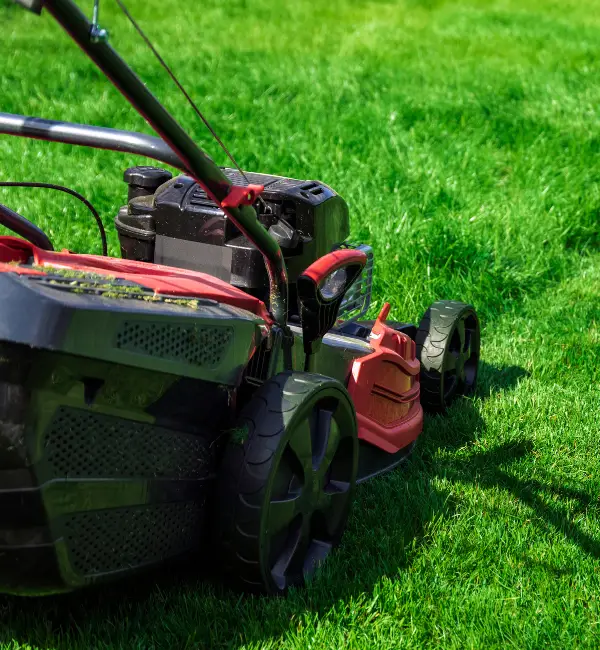 Why Choose Lawn Maintenance and Decoration in McKinney