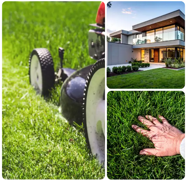 Why Choose Lawn Mowing in McKinney by McKinney Lawn Pro