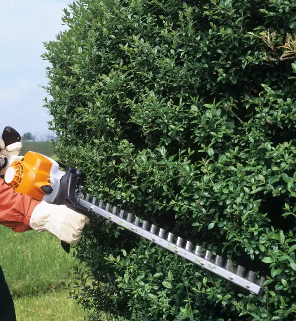 Why Choose Lawn Tree Trimming in McKinney
