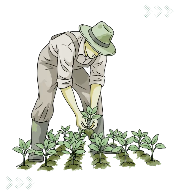 Lawn Fertilization McKinney TX