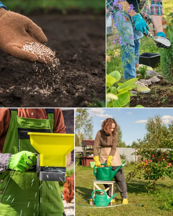 What Is Lawn Fertilization and Why It Matters in McKinney