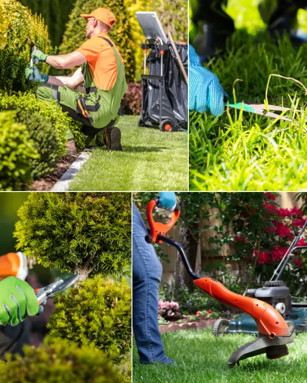 What Is Lawn Trimming and Edging Service and Why It Matters in McKinney