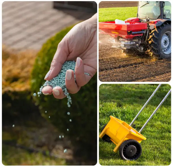 Why Choose Lawn Fertilization in McKinney from Us