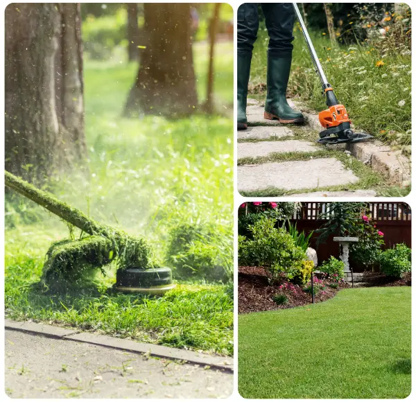 Why Choose Lawn Trimming and Edging in McKinney