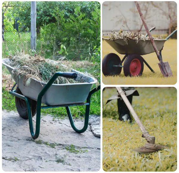 Why Choose Lawn Yard Debris Removal in McKinney